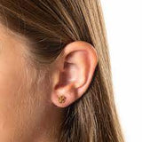 Pendientes Plata Copo de Nieve