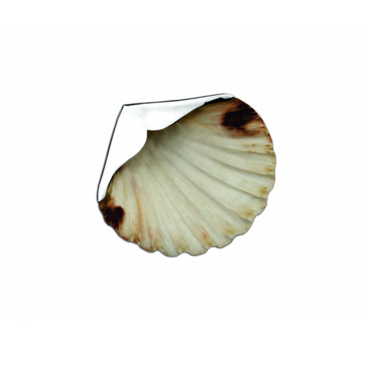 Concha Vieira Bautismo Plata